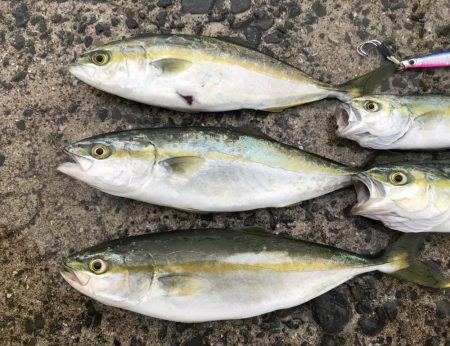 3連続バラシからの...