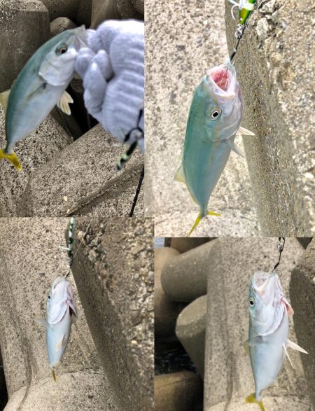 スーパーライトショアジギ‼️