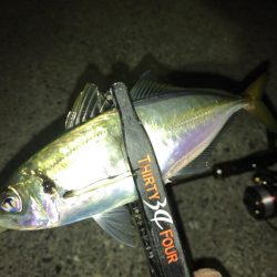 強風下のアジング