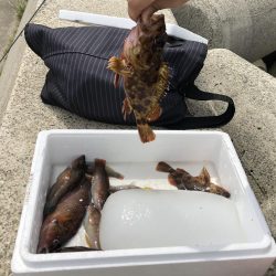 ショアジギング&穴釣り