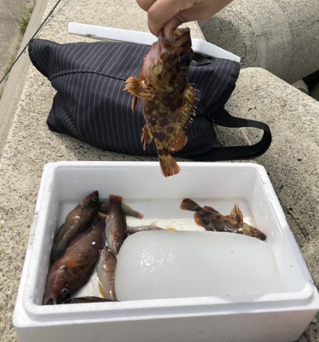 ショアジギング&穴釣り