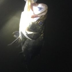 南風がややつよし