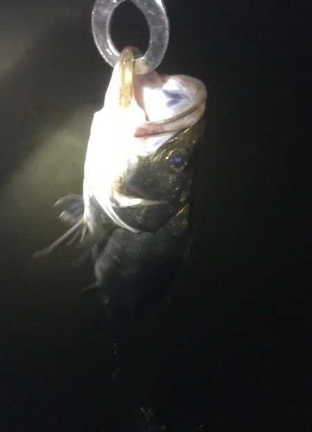 南風がややつよし