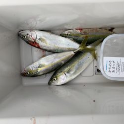 釣れ放題