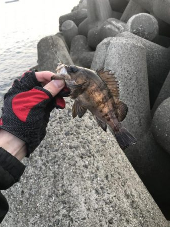 大変お久しゅうございます