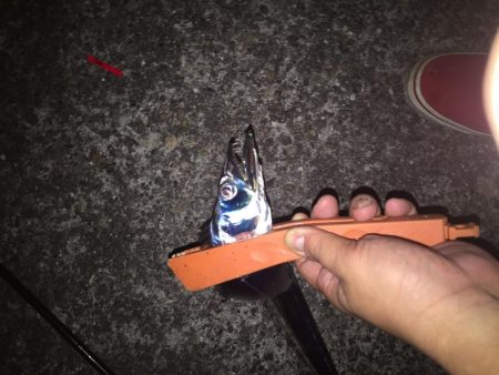 どっかいったか？