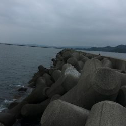 マリンピアでモジャコ