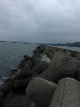 マリンピアでモジャコ