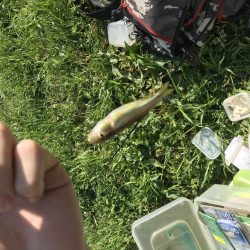 何年かぶりの…