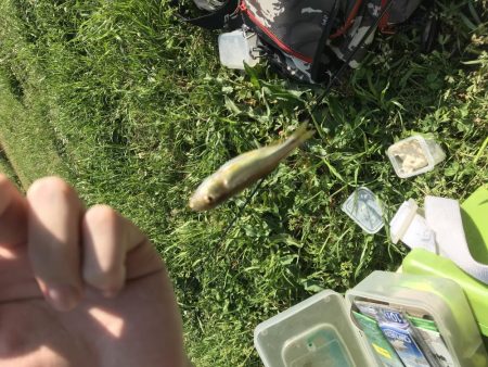 何年かぶりの…