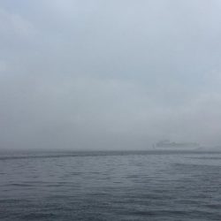 サイズダウンしてる