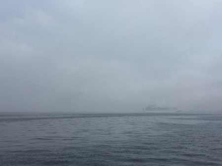 サイズダウンしてる