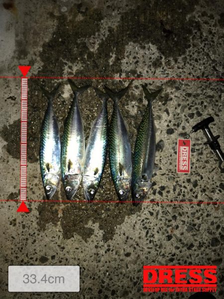 アジュール夜サバ