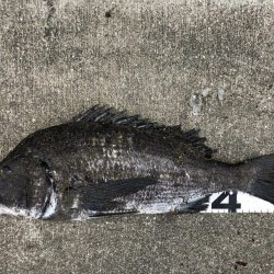 イチノ兄弟、釣果！