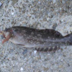 途中でカメラ不調