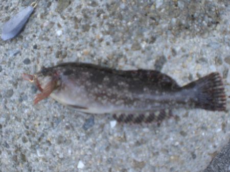 途中でカメラ不調