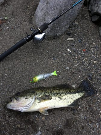 安物S字系でエイトトラップ