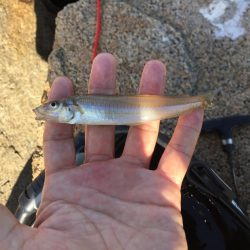 アオリ外しからのキス