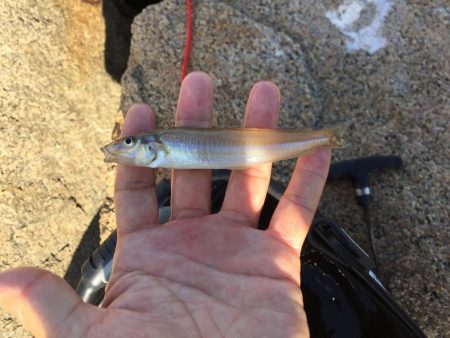 アオリ外しからのキス