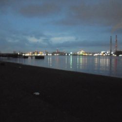 前打ち・カニのみ