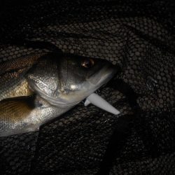 状況に応じて狙い分ける