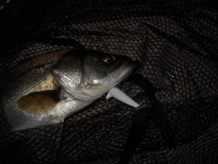 状況に応じて狙い分ける