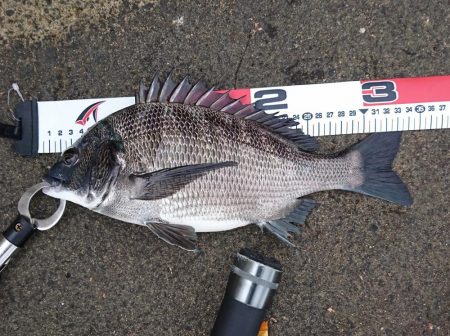 梅雨になる前に❗