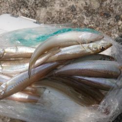 肘たたくんかえ!