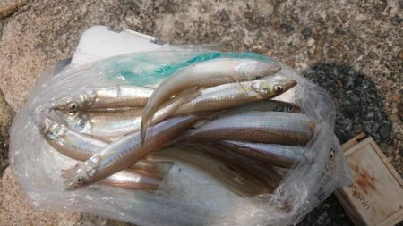 肘たたくんかえ!