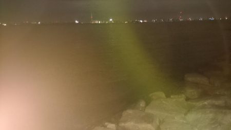 またまたチニング