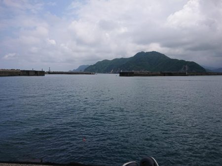 まったりチョイ投げ