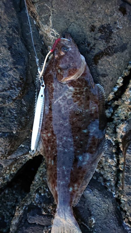 地磯でショアジギ