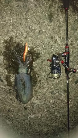 調子に乗って…