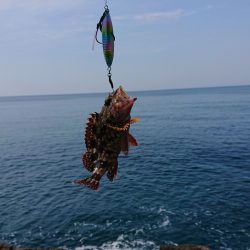 ガシラとコロッケ