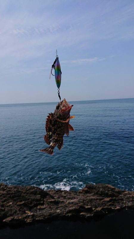 ガシラとコロッケ