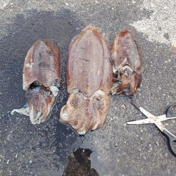 天気予報が大きく外れ