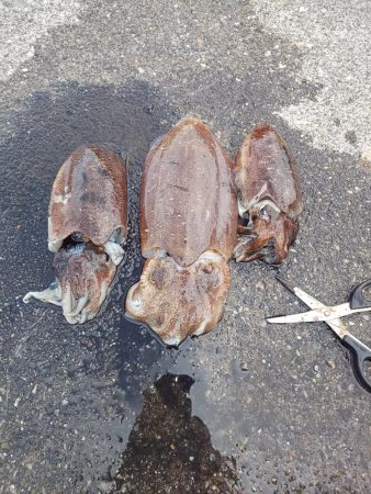 天気予報が大きく外れ