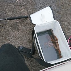 アナゴ釣りに行ったはずが…