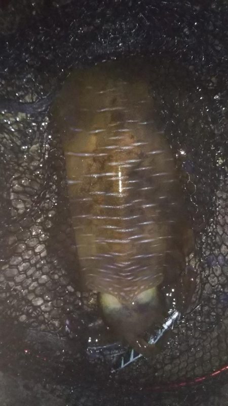 風向きが変わると