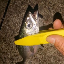 またまた中サバゲー