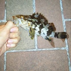 ライトロックゲーム