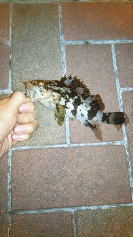 ライトロックゲーム