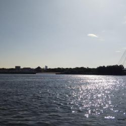 南が来てたら北も来るやろ！