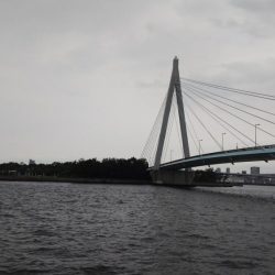 今日は何祭り？