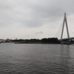 ツバス祭り到来！