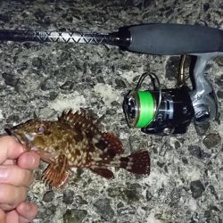 谷八木でメバリング?