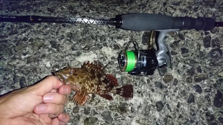 谷八木でメバリング?