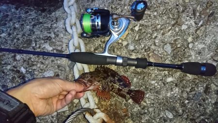 谷八木海岸・ガシリング