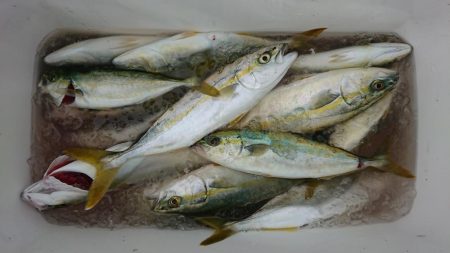 マルチヒット！！