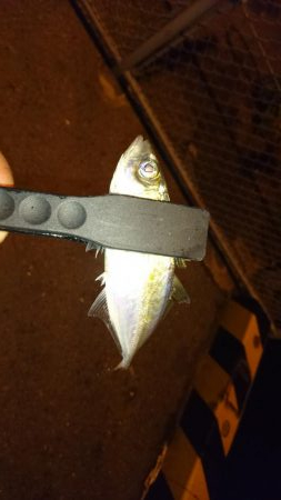 なかなか難しい。